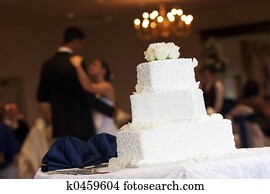 Bride Groom Cake Bride Groom Cake