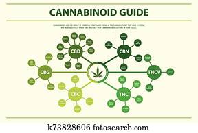 cannabinoid, כוון, אופקי, infographic