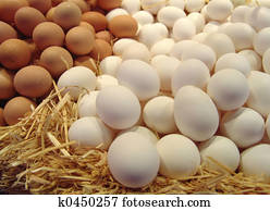 eggs on straw eggs on straw