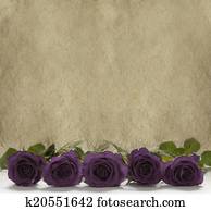 Purple Roses Banner