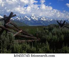 Tetons&Fence#4