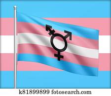transgender, símbolo, en, el, transgender, bandera, en, trans, colores, azul, rosa, y, púrpura