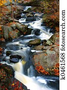 Fall Stream Fall Stream