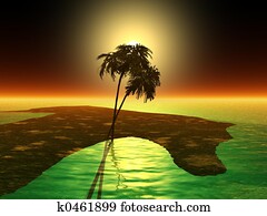 palm palm