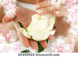 rosebud surrounded by flowers rosebud surrounded by flowers