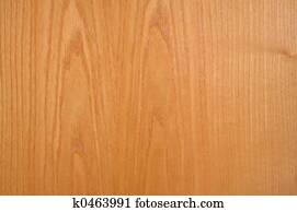 Wood Texture Wood Texture