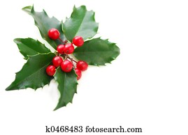 חג המולד, צינית