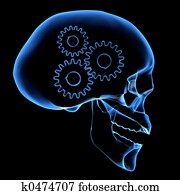 Brain mechanism Brain mechanism