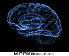 Brain Brain