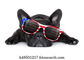 dia independência, 4 de julho, cão