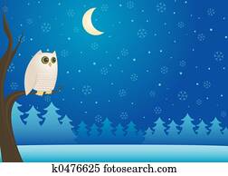 Snowy Winter Owl Snowy Winter Owl
