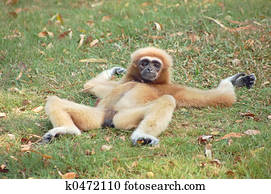 Take it easy Take it easy