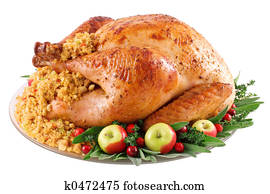 Turkey Turkey
