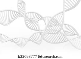 די.אנ.אי, מולקולה