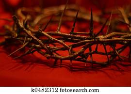 Crown of Thorns