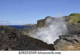 Kiama Blowhole 
