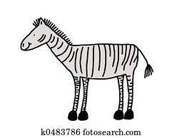 Zebra Zebra