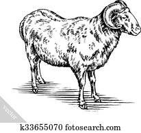 gravar, tinta, desenhar, sheep, ilustração