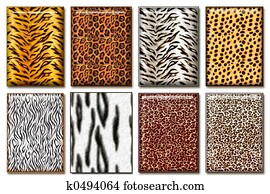 Wild animal skin Wild animal skin