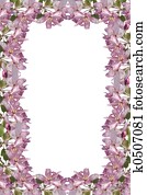 Blossom Frame