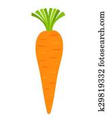 Carrot vector Carrot vector