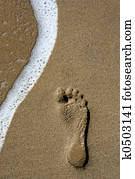 Footstep and Wave