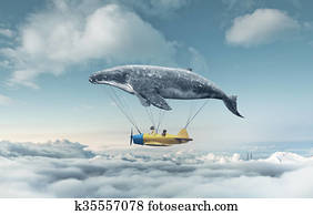 dream dream