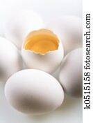 eggs eggs