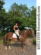 Horse and Rider Horse and Rider