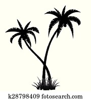 Palm tree silhouette Palm tree silhouette