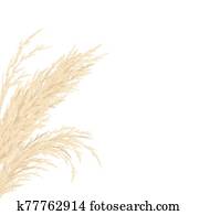 Silver golden Pampas grass Card template frame on the left with copy space. Vector illustration. Silver golden Pampas grass Card template frame on the left with copy space. Vector illustration.