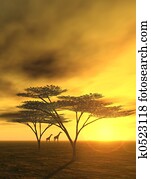 African Dream African Dream