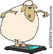 Dieting sheep Dieting sheep