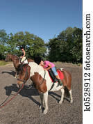 Horse Riding Pleasure Horse Riding Pleasure