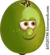 mr kiwi mr kiwi