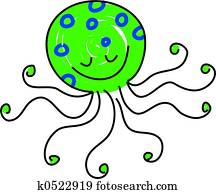 octopus octopus