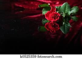 Red rose Red rose