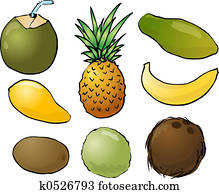 Tropical fruits illustration Tropical fruits illustration
