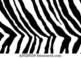 zebra print zebra print