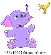 elefant, und, kolibri elefant, und, kolibri