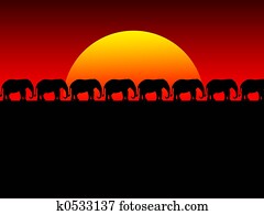 foolish sunset foolish sunset