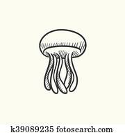 Jellyfish sketch icon. Jellyfish sketch icon.