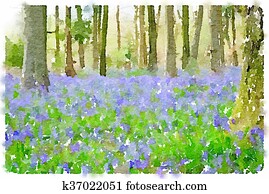 Watercolor painting of bluebell flowers in the woods Watercolor painting of bluebell flowers in the woods