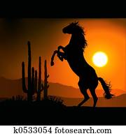 סוס, צללית, a