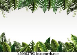 Palm Leaf Clip Art | Our Top 1000+ Palm Leaf Vectors | Fotosearch