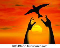 Free bird Free bird