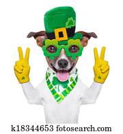 st patricks day dog st patricks day dog