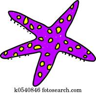 starfish starfish