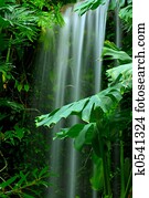 Waterfall in the Rainforest Waterfall in the Rainforest