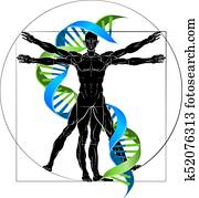 dns, vitruvian mann dns, vitruvian mann